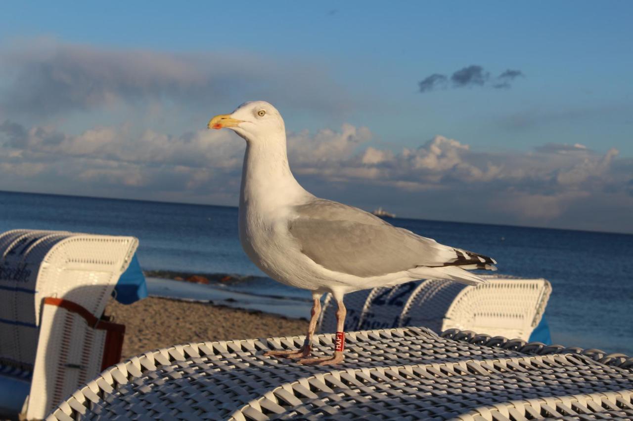 Ferienwohnungen Im Haus Strandburg Grömitz Exteriér fotografie